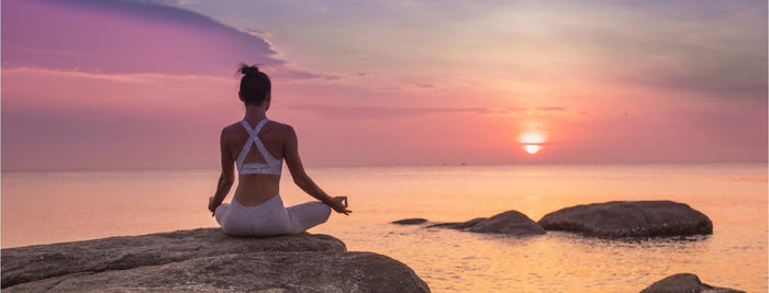 Titulo 2 - All Nutrition - Development